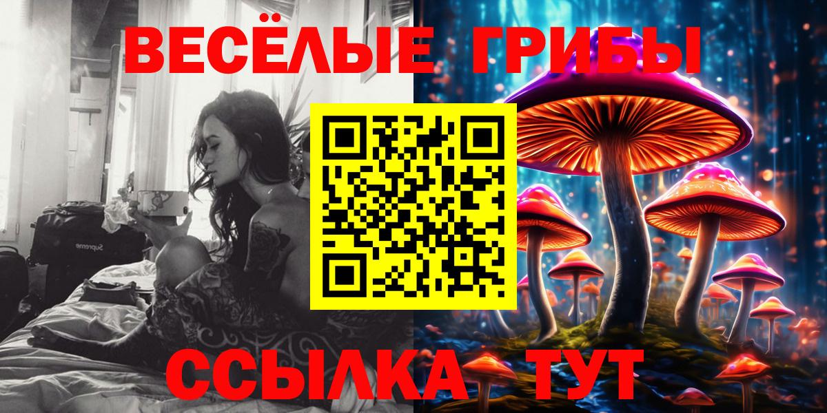 Галлюциногенные грибы Cubensis Ангарск